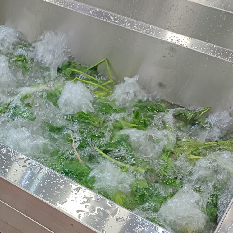 鼓泡清洗機